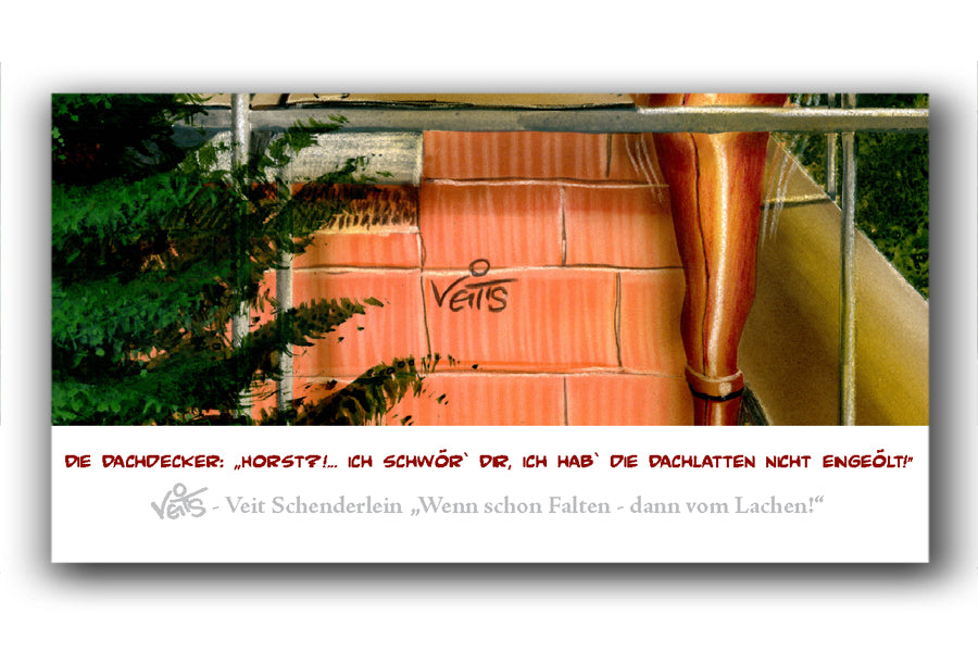 Bild Karikatur Cartoon Dachdecker Dachklempner
