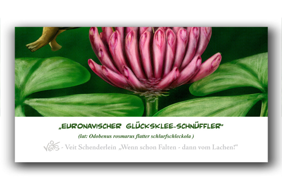 Bild Karikatur Cartoon Walross Schmetterling Pflanze Tiere "Veit`S Exoten"