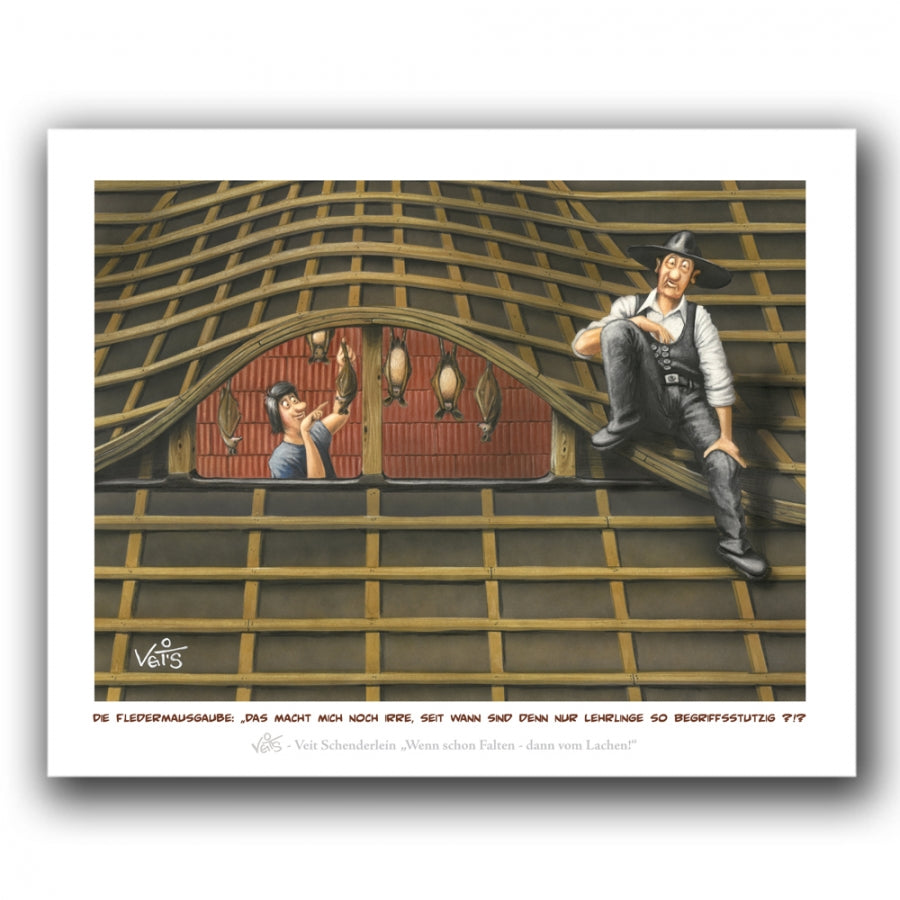 Bild, Karikatur, Cartoon, Dach Dachdecker Fledermausgaube
